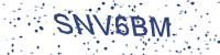 OX CaptCha