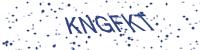 OX CaptCha