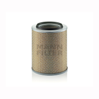 0105098 - C24393 Luftfilter-Element